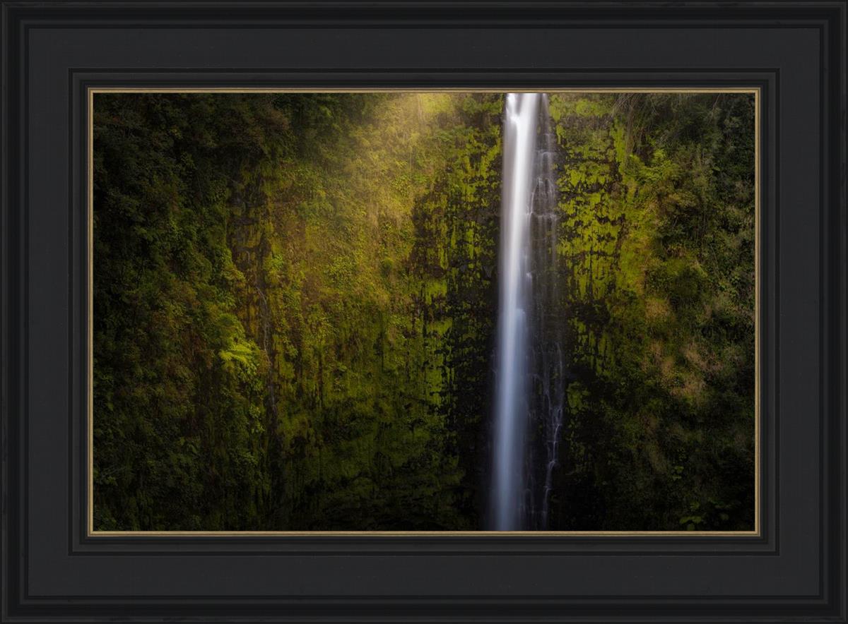 Akaka Falls Aloha