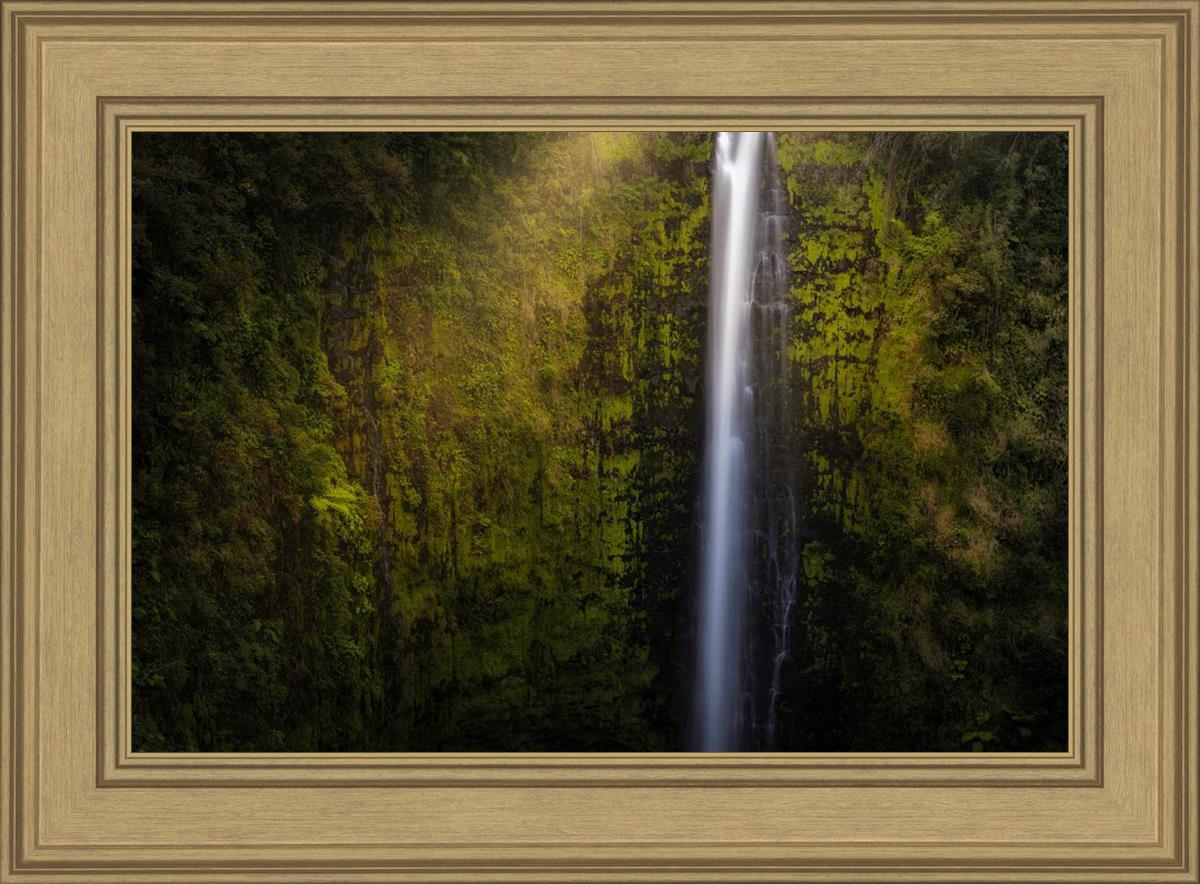 Akaka Falls Aloha