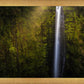 Akaka Falls Aloha