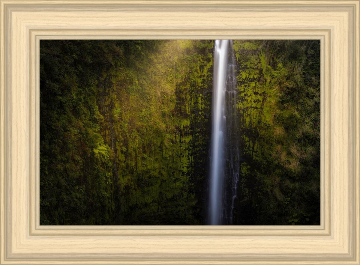 Akaka Falls Aloha
