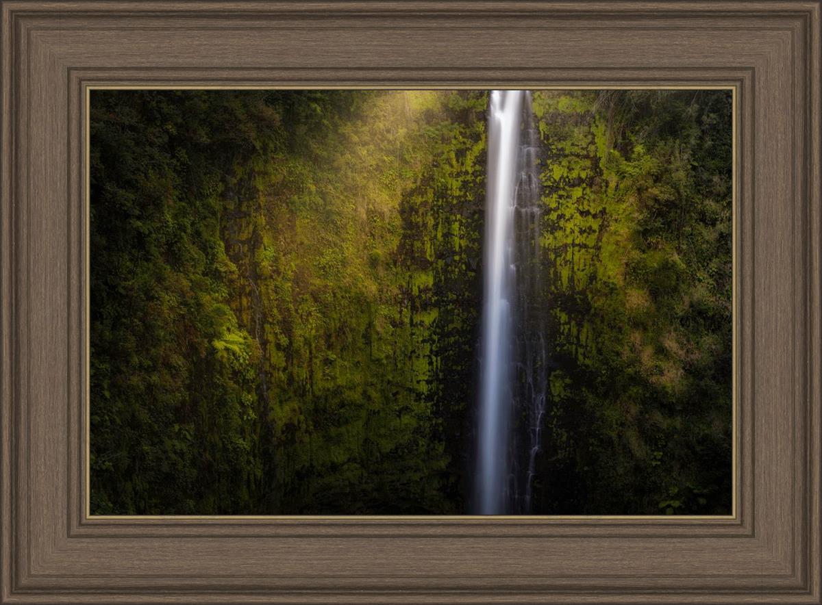 Akaka Falls Aloha