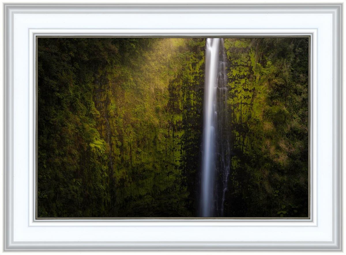 Akaka Falls Aloha
