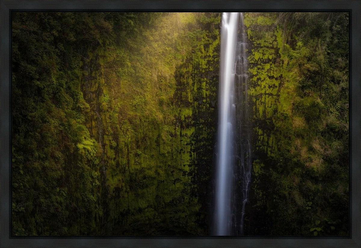 Akaka Falls Aloha Gallery Wrap