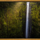 Akaka Falls Aloha