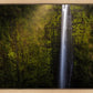 Akaka Falls Aloha