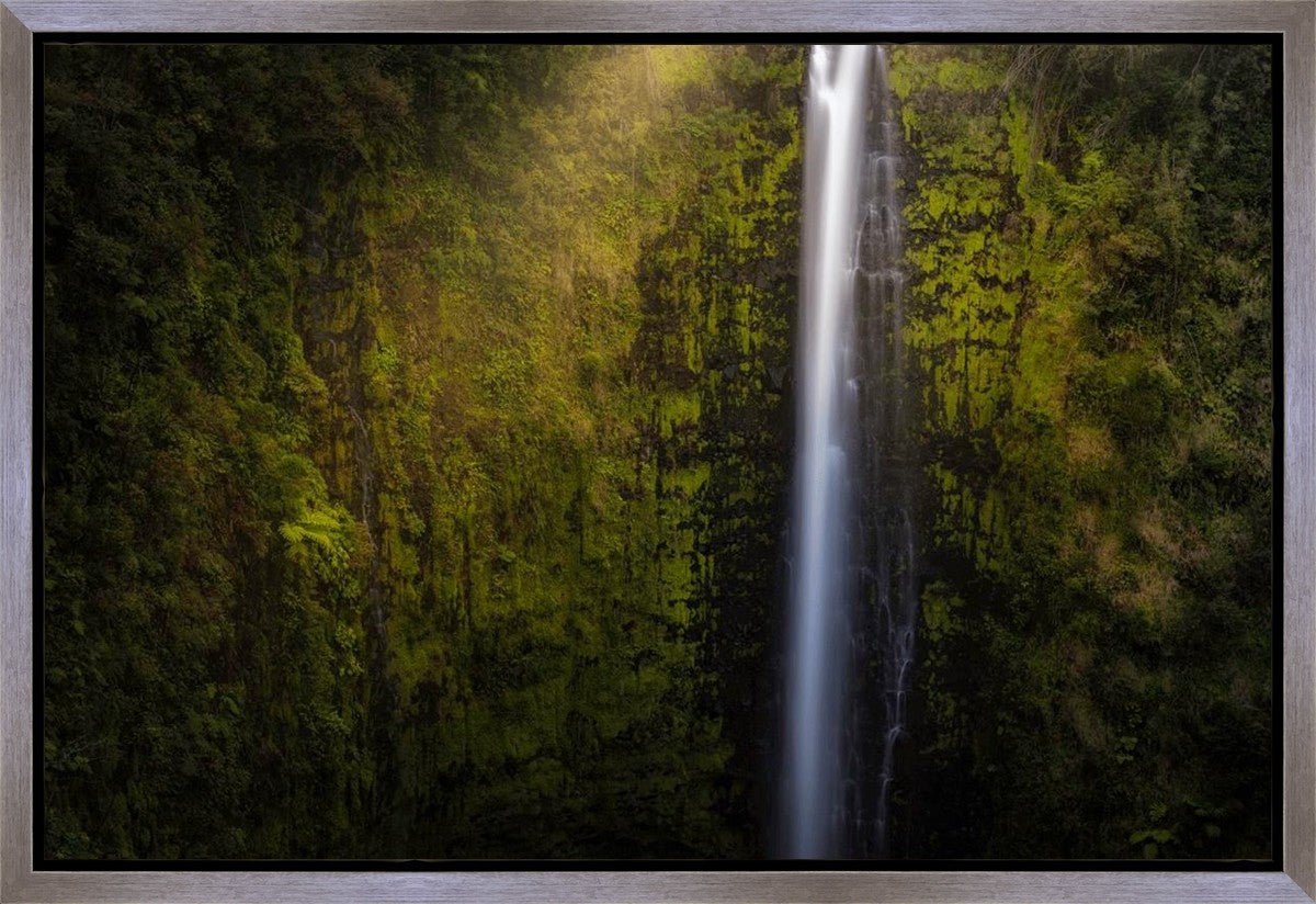 Akaka Falls Aloha Gallery Wrap