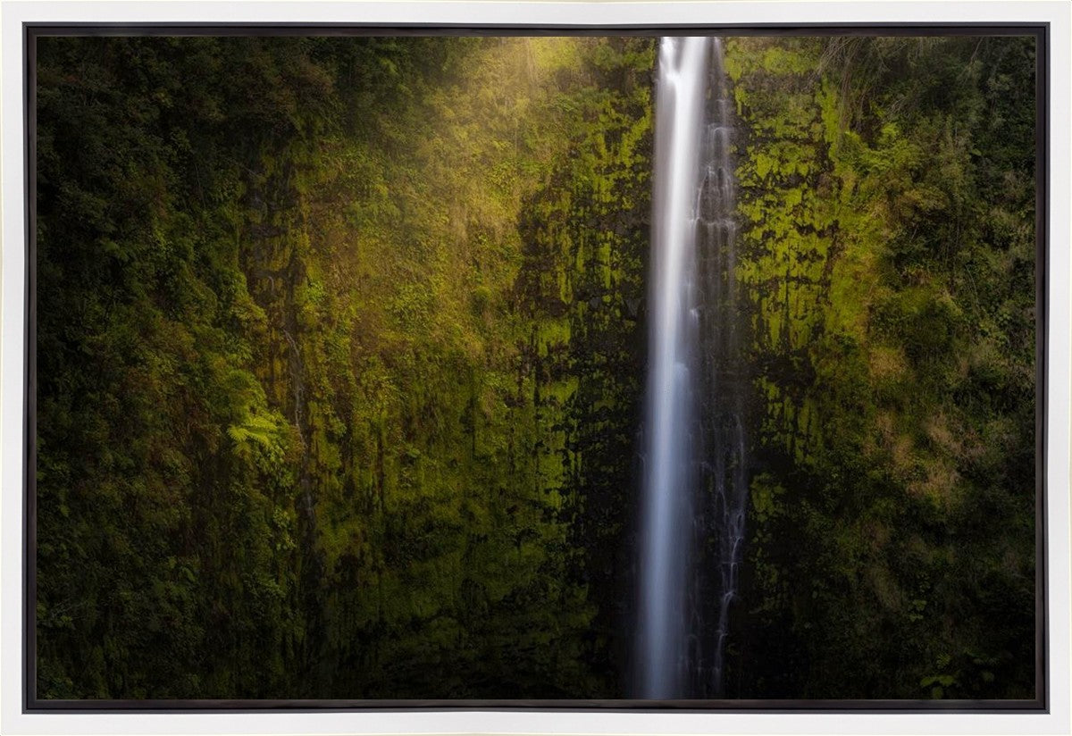 Akaka Falls Aloha Gallery Wrap