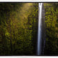Akaka Falls Aloha