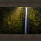 Akaka Falls Aloha