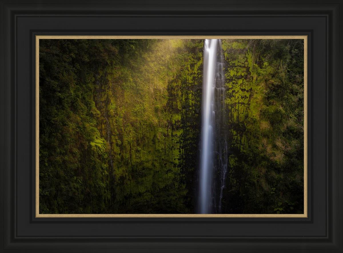 Akaka Falls Aloha