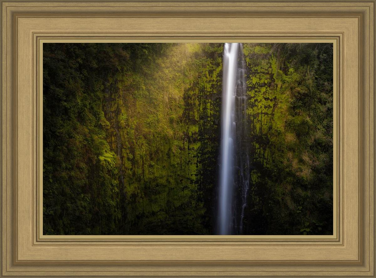 Akaka Falls Aloha