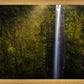 Akaka Falls Aloha