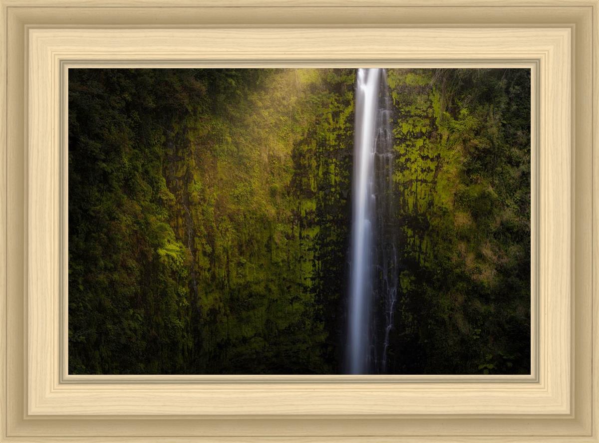 Akaka Falls Aloha