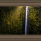 Akaka Falls Aloha