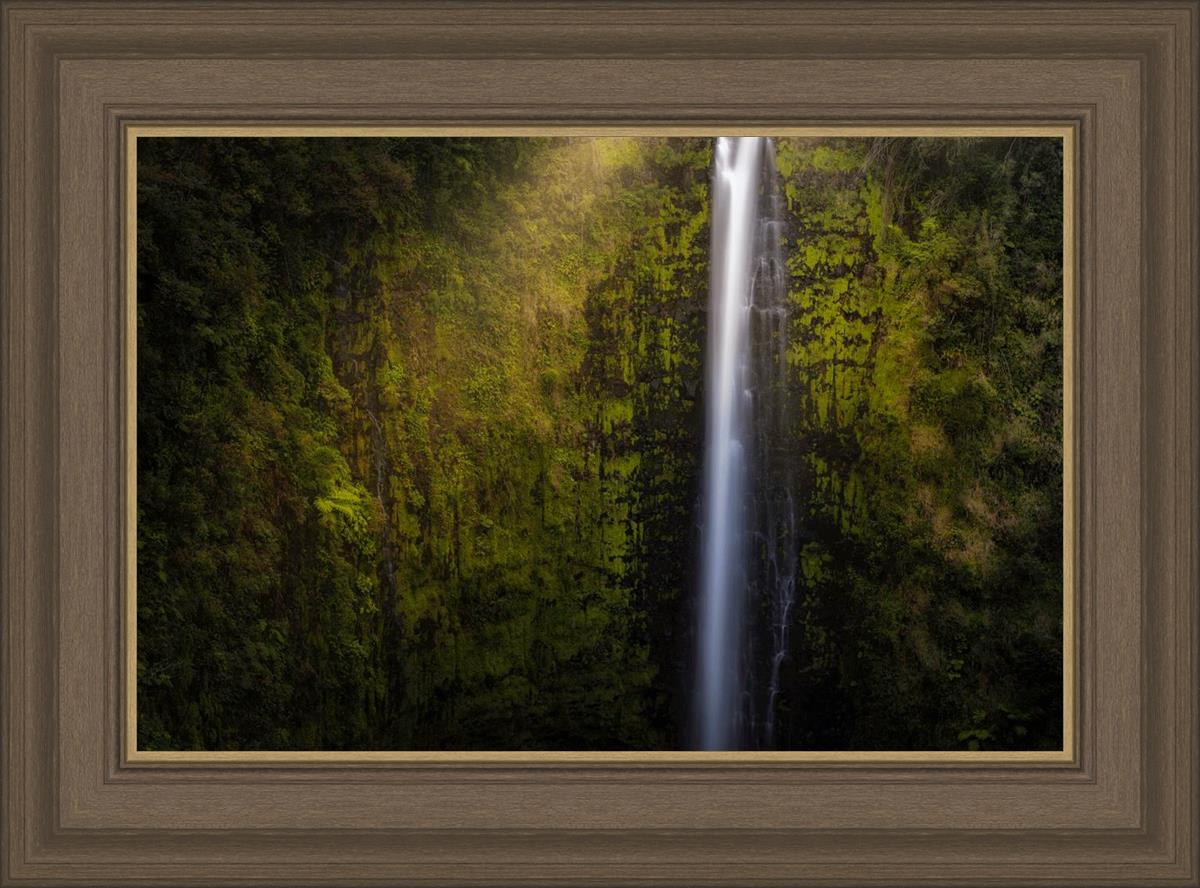 Akaka Falls Aloha