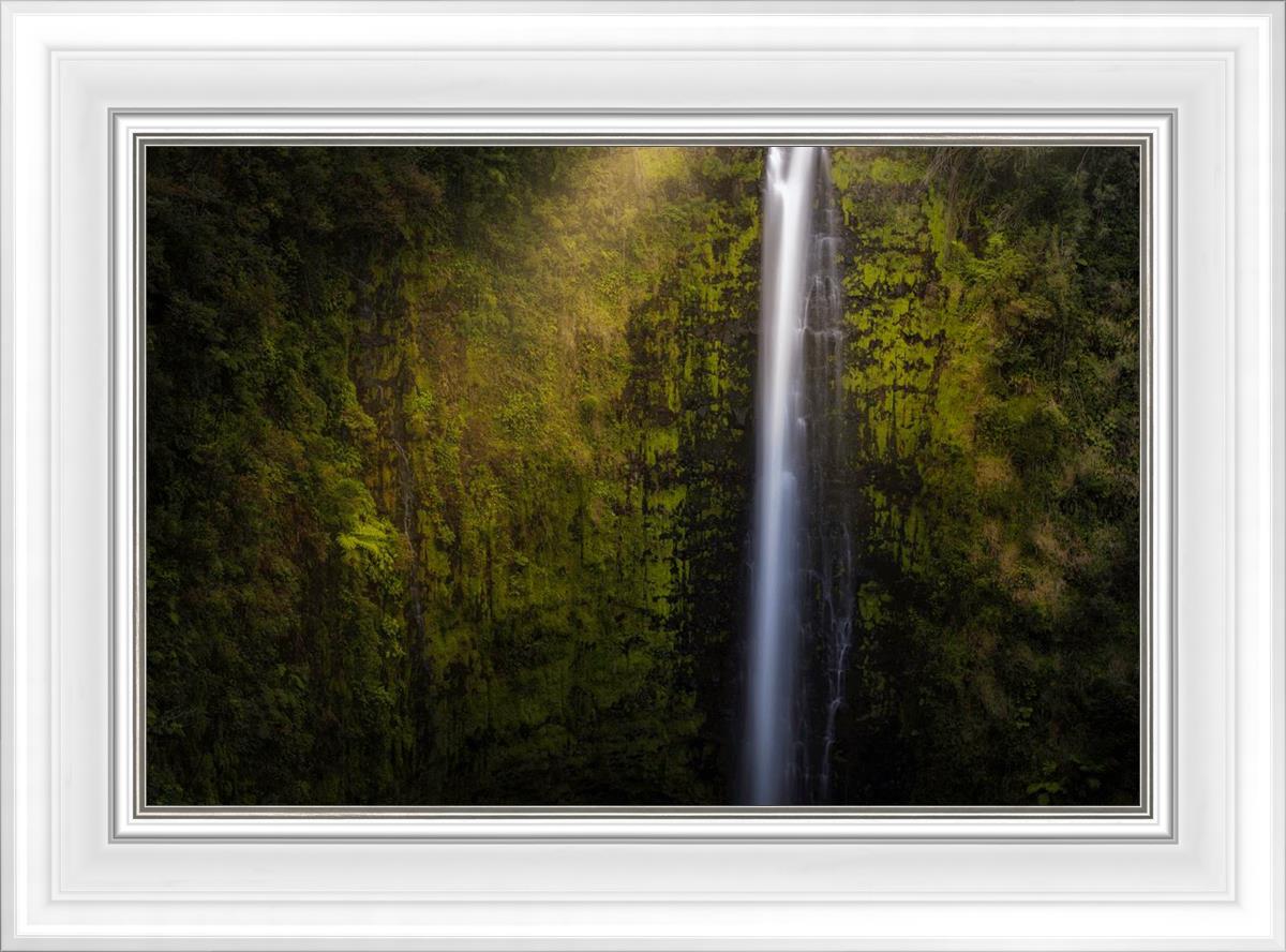 Akaka Falls Aloha