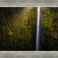 Akaka Falls Aloha