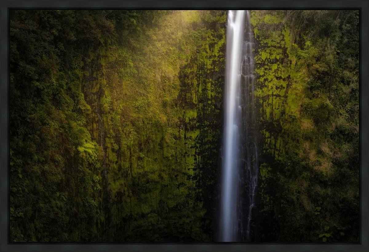 Akaka Falls Aloha Gallery Wrap