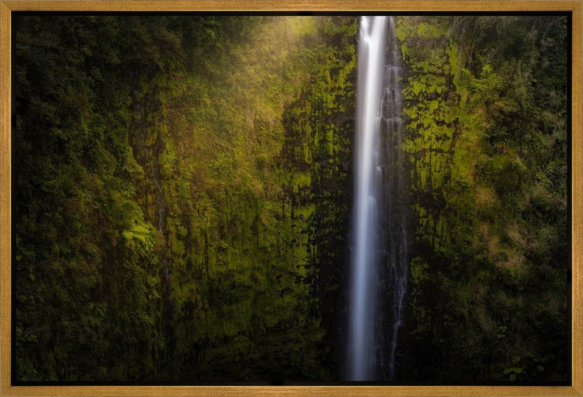 Akaka Falls Aloha Gallery Wrap