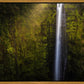 Akaka Falls Aloha