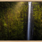 Akaka Falls Aloha