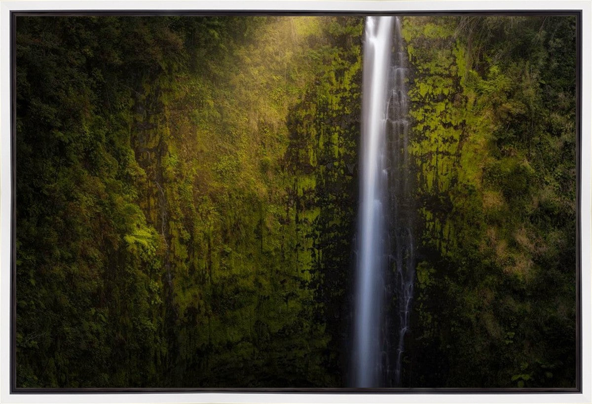 Akaka Falls Aloha Gallery Wrap