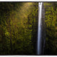 Akaka Falls Aloha