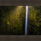 Akaka Falls Aloha