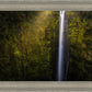 Akaka Falls Aloha