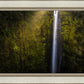 Akaka Falls Aloha