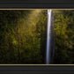 Akaka Falls Aloha