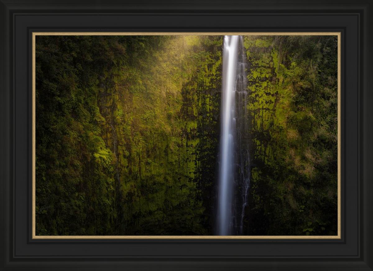 Akaka Falls Aloha