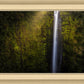 Akaka Falls Aloha