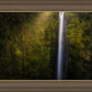 Akaka Falls Aloha