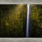 Akaka Falls Aloha
