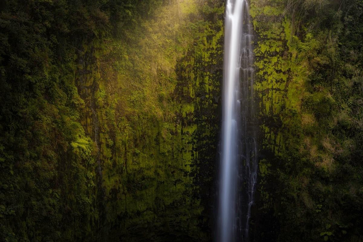 Akaka Falls Aloha Gallery Wrap