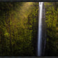 Akaka Falls Aloha