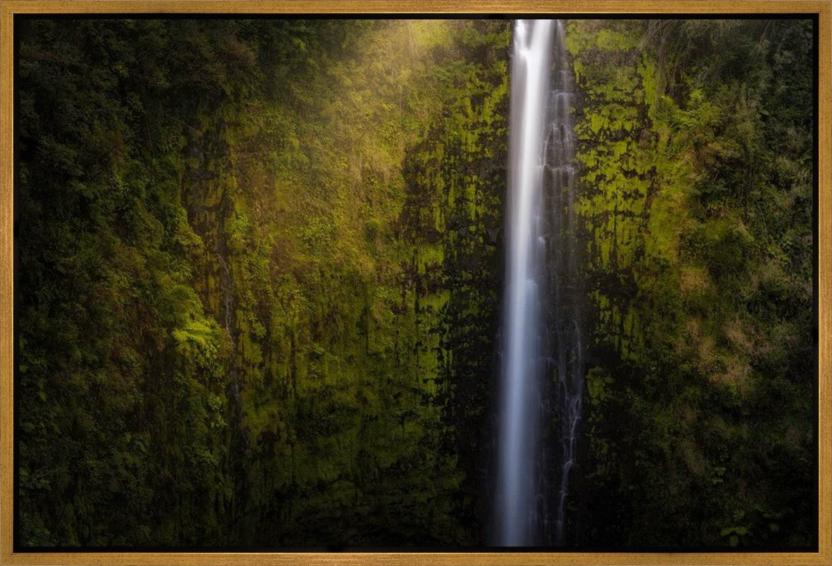 Akaka Falls Aloha Gallery Wrap