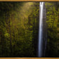 Akaka Falls Aloha