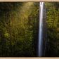 Akaka Falls Aloha