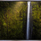 Akaka Falls Aloha