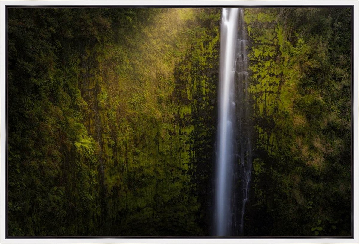 Akaka Falls Aloha Gallery Wrap