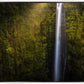 Akaka Falls Aloha