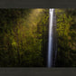 Akaka Falls Aloha