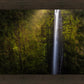 Akaka Falls Aloha