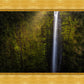 Akaka Falls Aloha