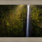 Akaka Falls Aloha