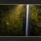 Akaka Falls Aloha