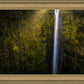 Akaka Falls Aloha