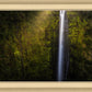 Akaka Falls Aloha